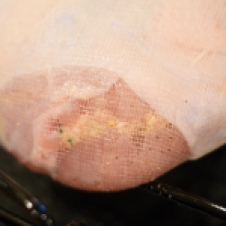 Closeup of stuffed turkey breast assembly